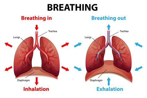 How do you breathe when recording?