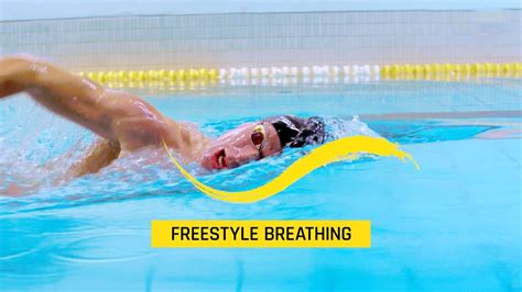 How do you breathe while swimming?