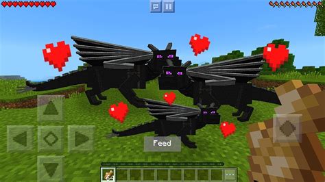 How do you breed an Ender Dragon?