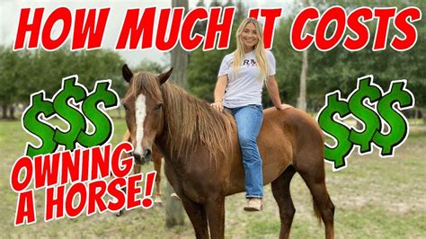 How do you buy and own a horse?