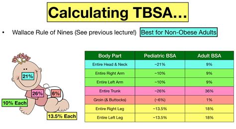 How do you calculate TBSA?