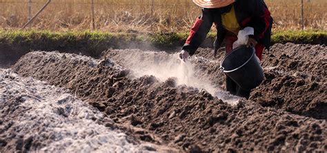 How do you calculate soil liming?