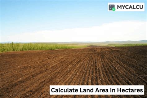 How do you calculate total area in hectares?