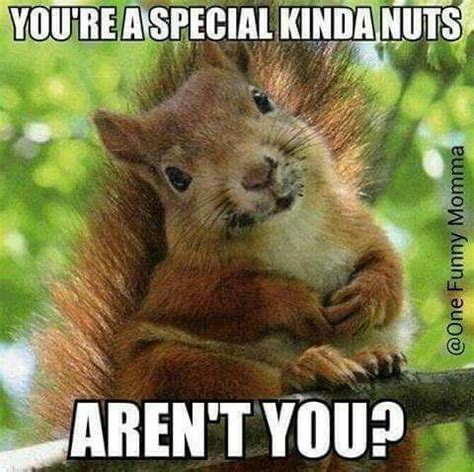 How do you calm down a squirrel?