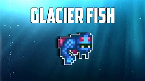 How do you catch a Glacierfish?