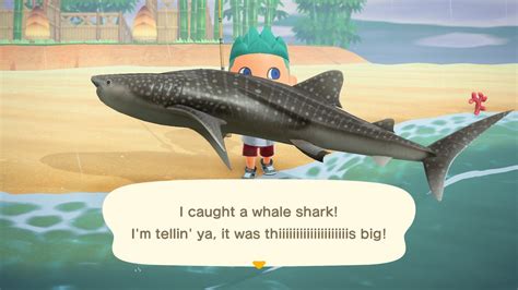 How do you catch a shark in Animal Crossing?