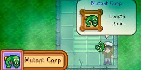 How do you catch mutant carp?