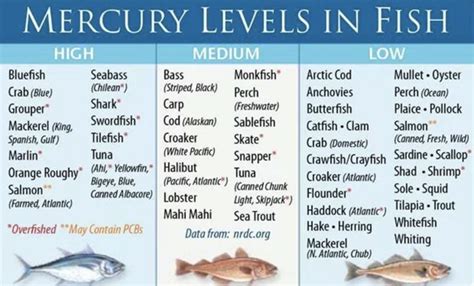How do you check mercury levels?