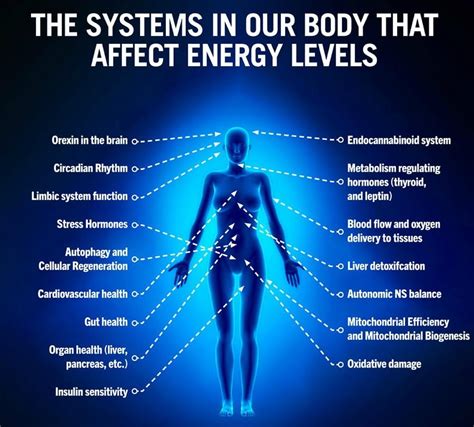 How do you check your body's energy level?