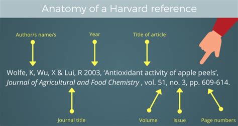 How do you cite Harvard style?