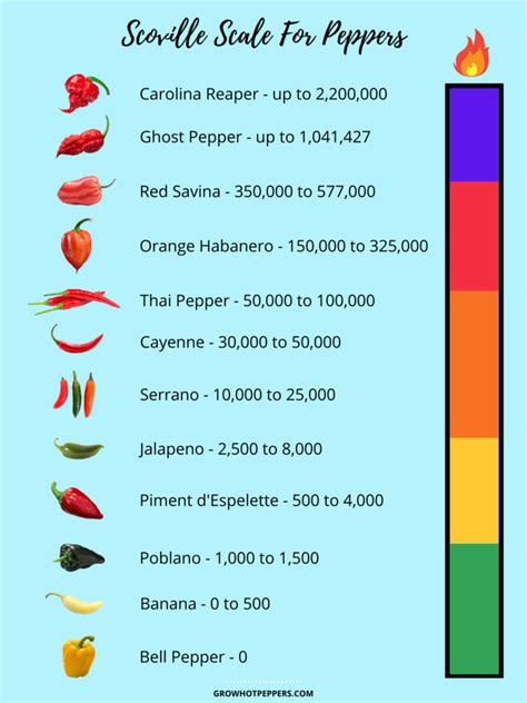 How do you classify a pepper?