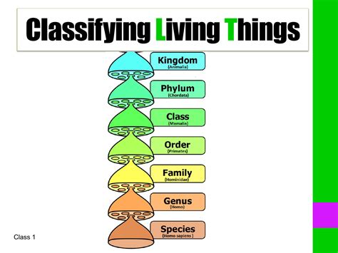 How do you classify questions?