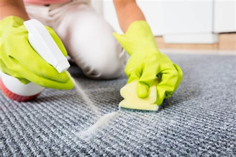 How do you clean a carpet shampooer brush?