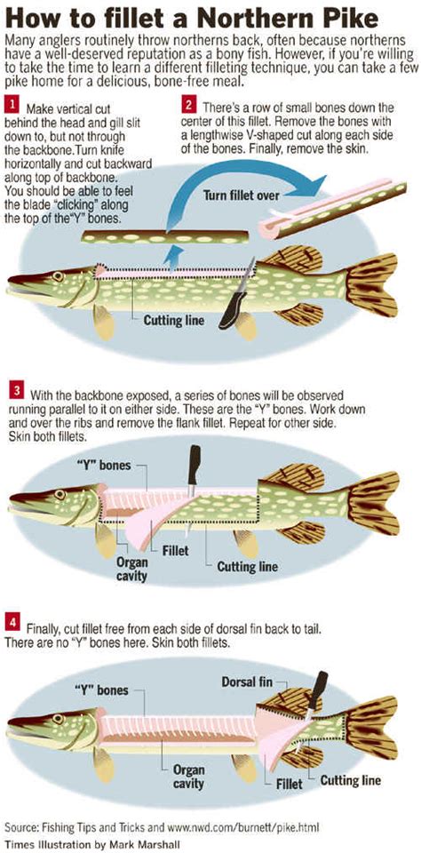 How do you clean a fish pike?