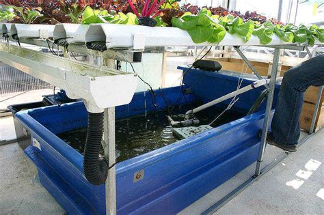 How do you clean a hydroponic reservoir tank?