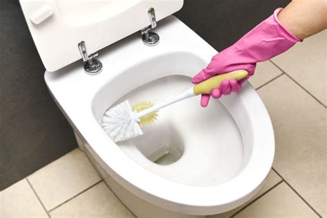 How do you clean a toilet seat?