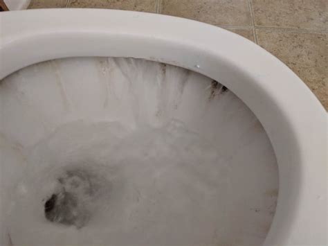 How do you clean a toilet that hasn't been cleaned in years?