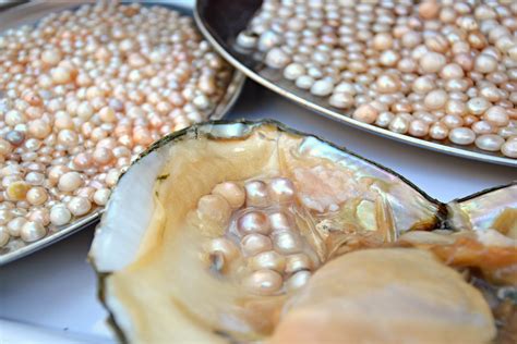 How do you clean fresh water pearls?