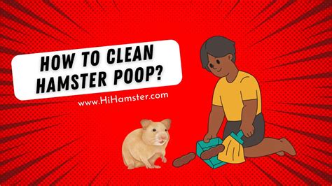 How do you clean hamster urine?