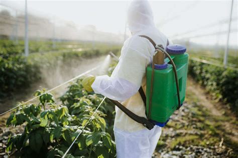 How do you clean pesticides?