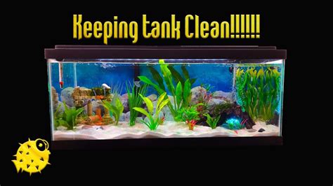 How do you clean play sand in a fish tank?