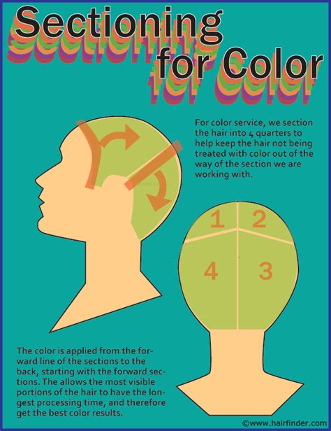 How do you color hair sections?