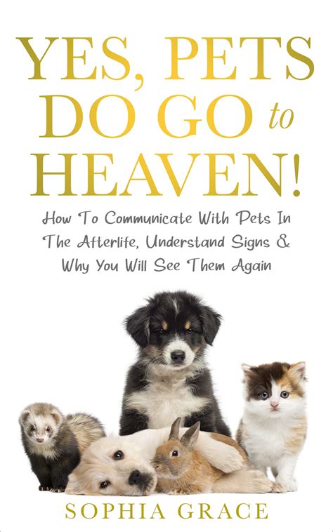 How do you communicate with pets in the afterlife?