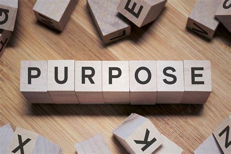 How do you create a shared purpose?