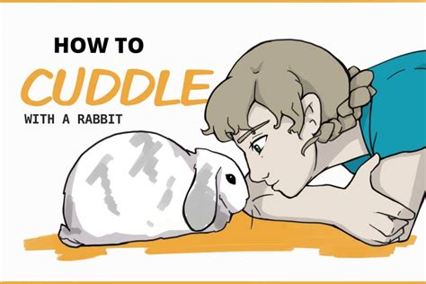 How do you cuddle a rabbit?