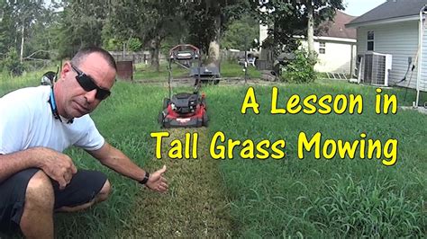 How do you cut 3ft tall grass?