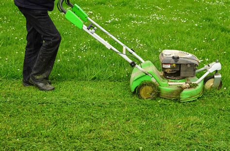 How do you cut long wet grass?