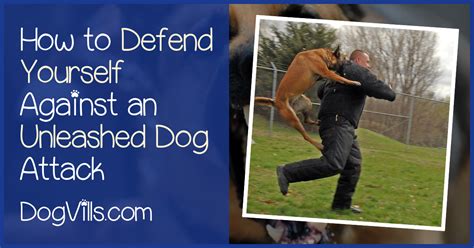How do you defend against a dog?