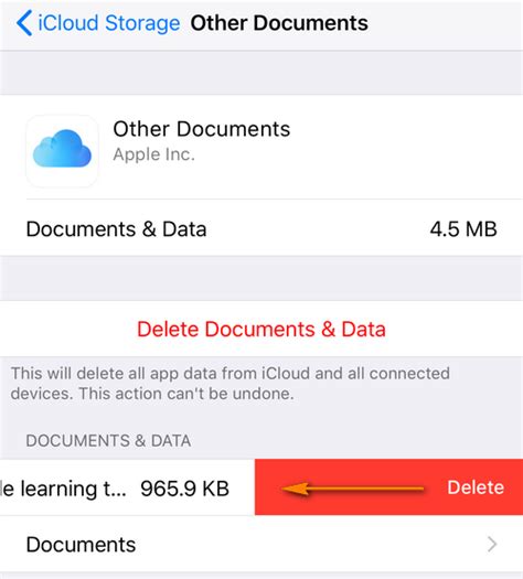 How do you delete iCloud email?