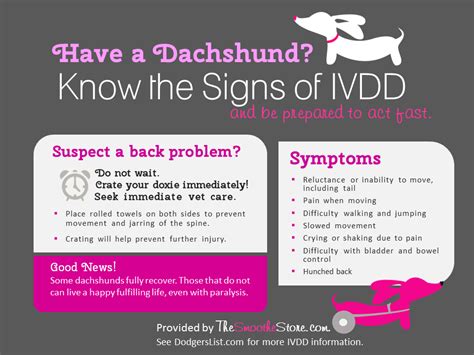 How do you diagnose IVDD?