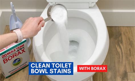 How do you disinfect a toilet tank?