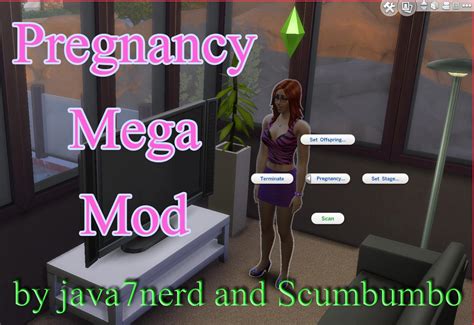 How do you do a pregnancy test on Sims 3?
