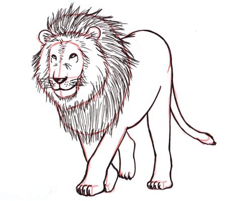 How do you draw a cool lion?