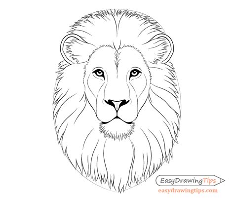 How do you draw a easy lion face?