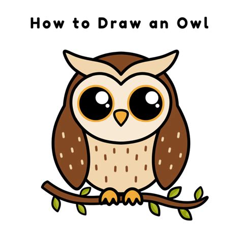 How do you draw cute owl eyes?