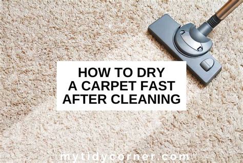 How do you dry carpet quickly after cleaning?