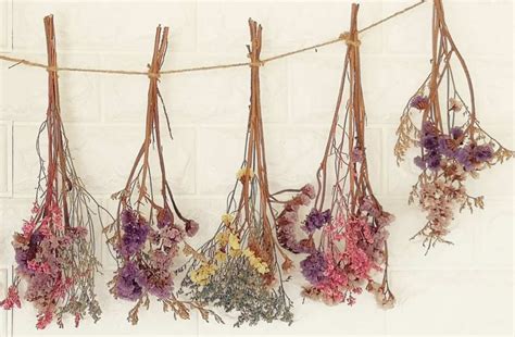 How do you dry flowers without killing them?