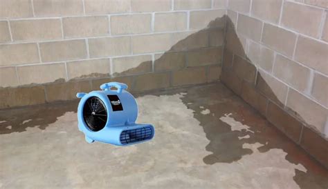 How do you dry out a wet basement?