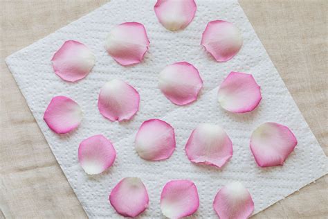 How do you dry rose petals without heat?