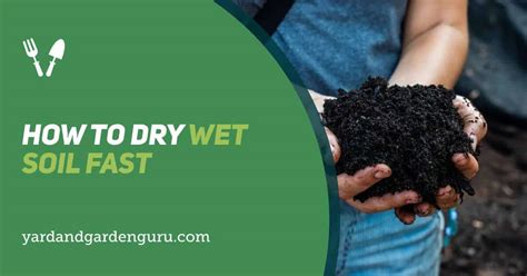 How do you dry wet soil fast?