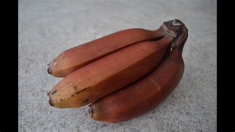 How do you eat a red banana?