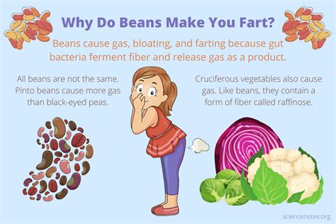 How do you eat so you don't fart?