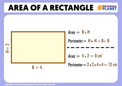 How do you find the area of a rectangular box?