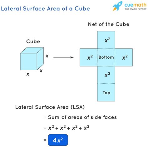 How do you find the total surface area of a cube?