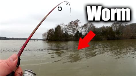 How do you fish with live worms?