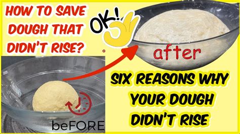 How do you fix dough that didn't rise?
